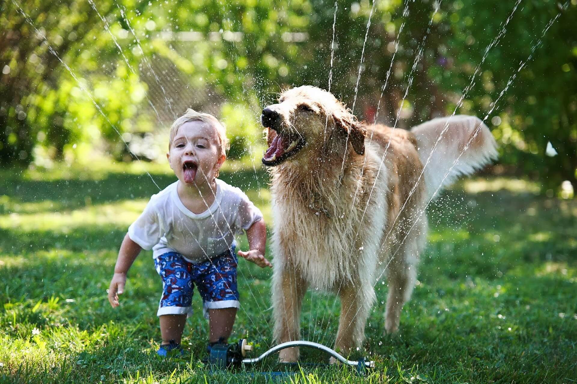 Как животные радуются дождю. Собака для детей. Дети с животными. Для детей. Животные. Счастливые животные.