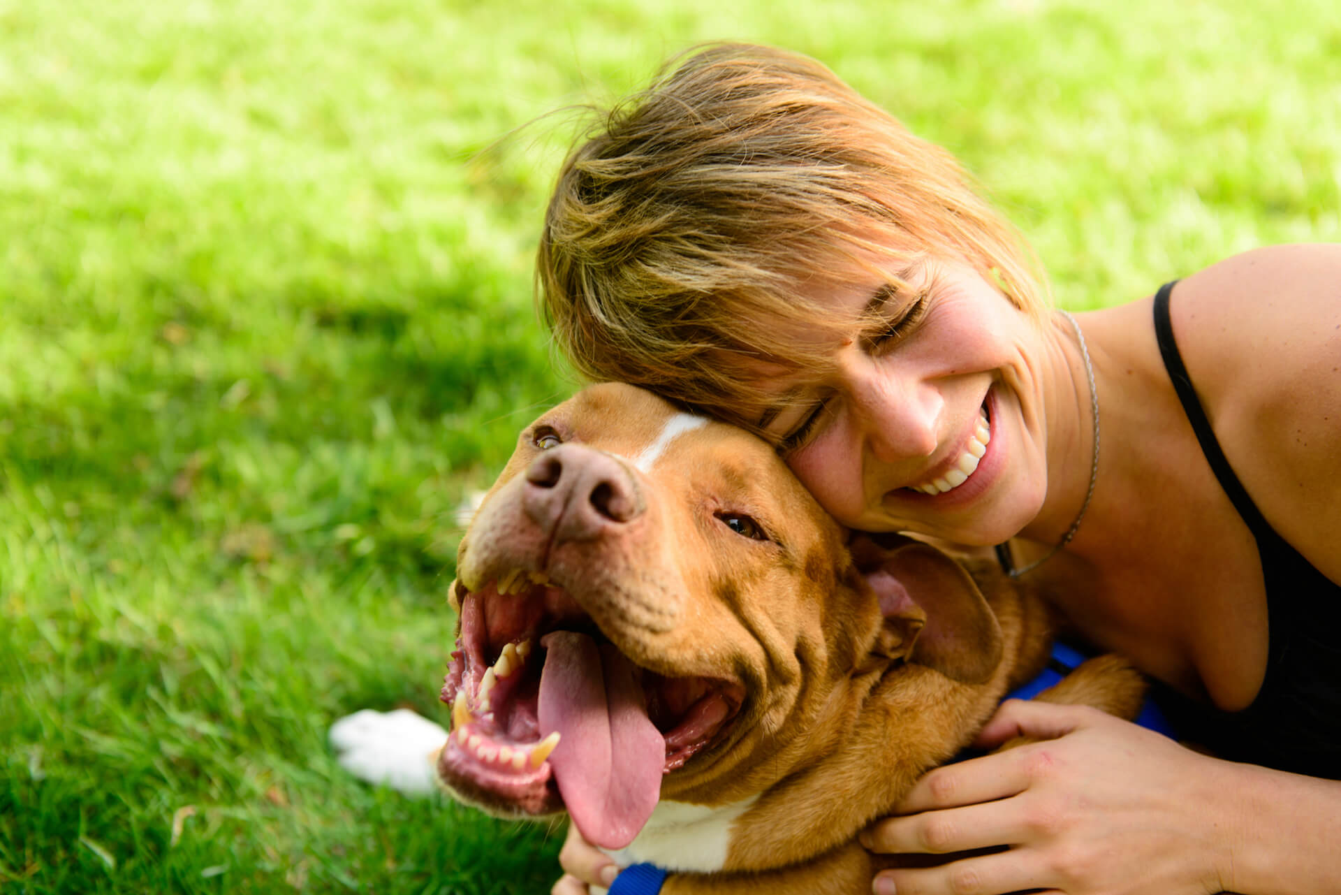 Pet owner. Счастливая собака. Люди и животные. Хозяин собаки. Человек с собакой.