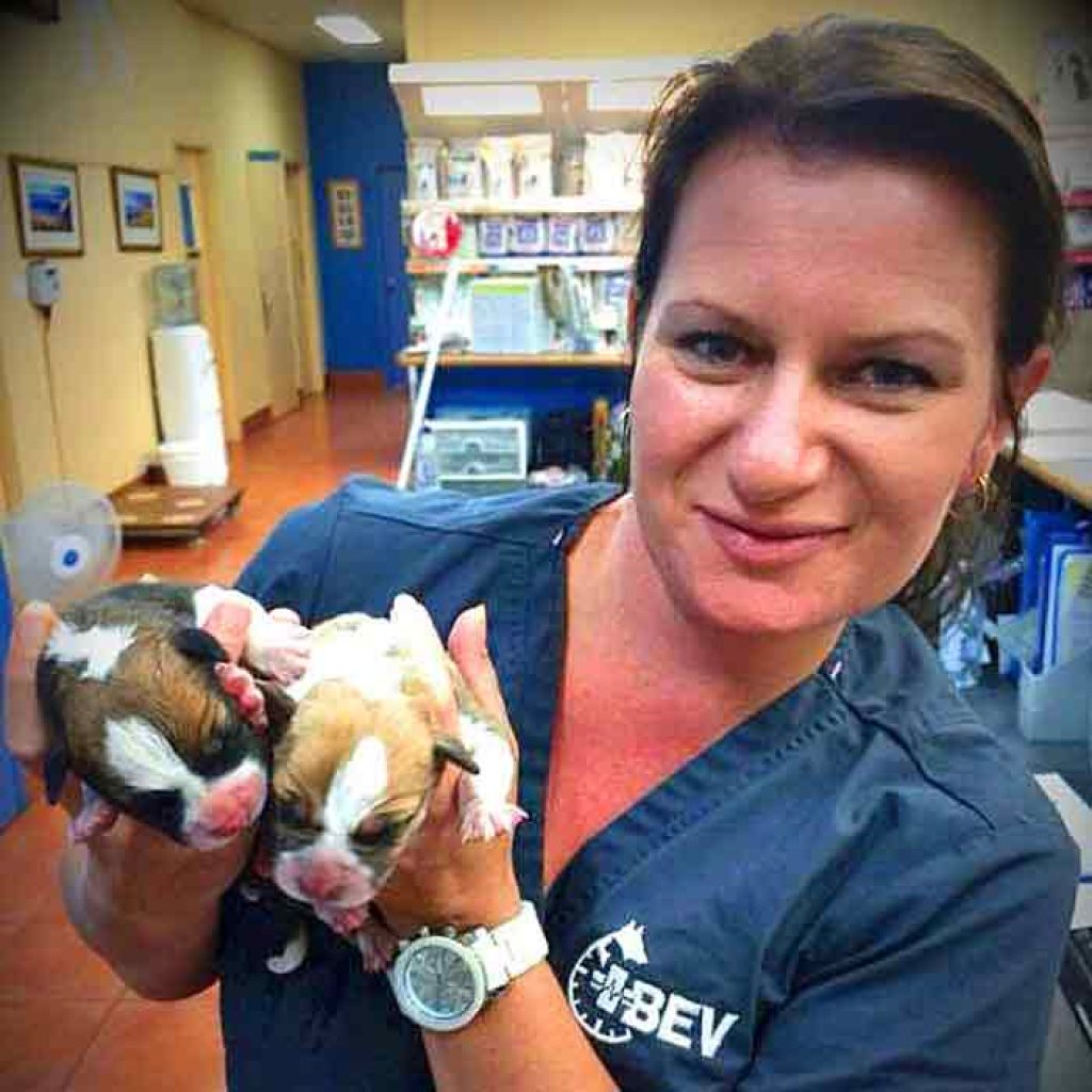 Bevs emergency best sale vet
