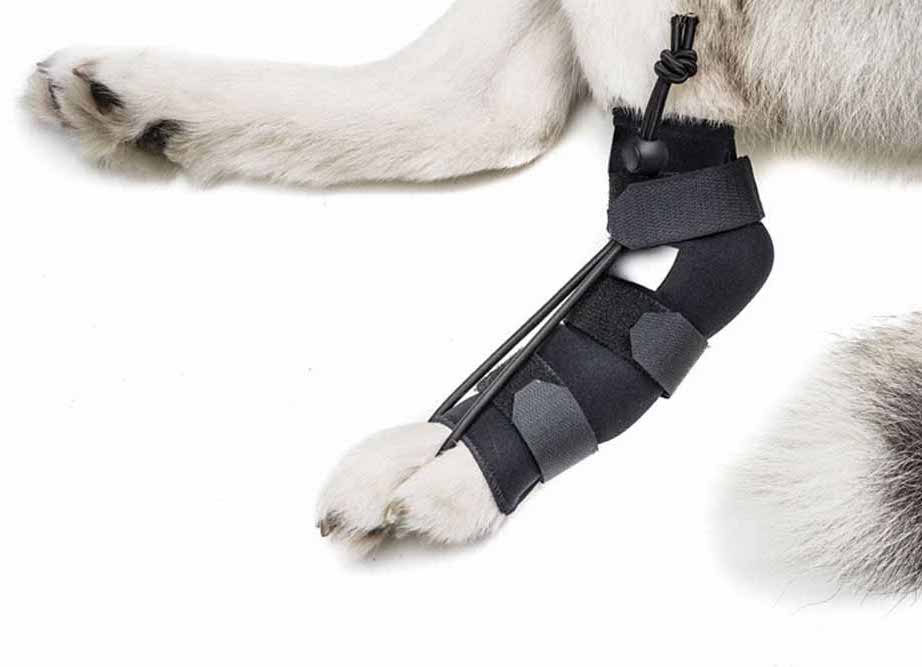broken-legs-asc-right broken-legs-asc-right