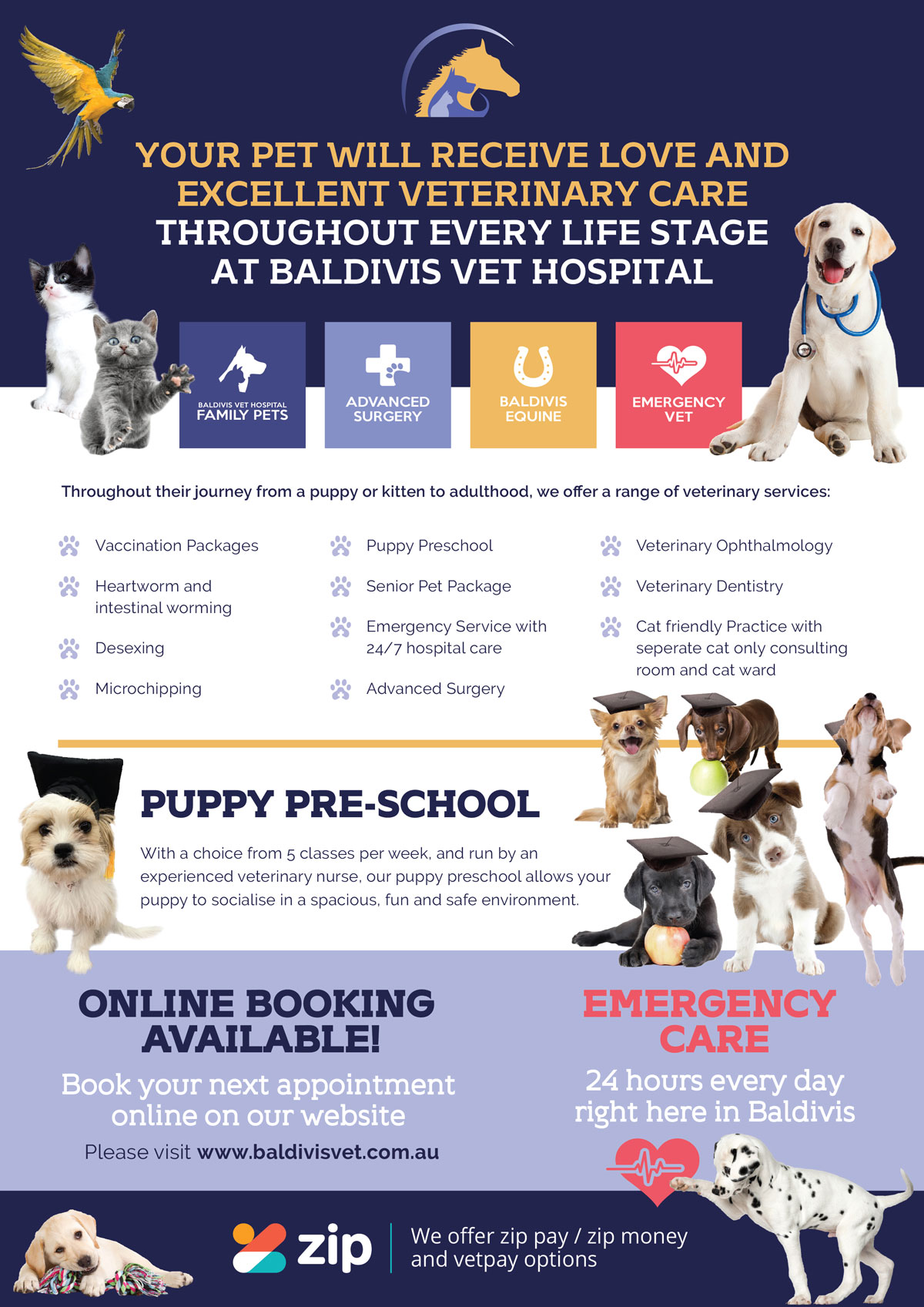 Baldivis Vet Hospital Winter Senior Pet Special 2021 - Baldivis Vet Hospital Baldivis Vet Hospital Winter Senior Pet Special 2021 - Baldivis Vet Hospital