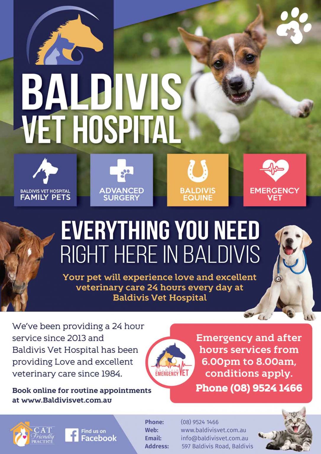 Everything You Need Right Here In Baldivis Baldivis Vet Hospital everything-you-need-right-here-in-baldivis-baldivis-vet-hospital