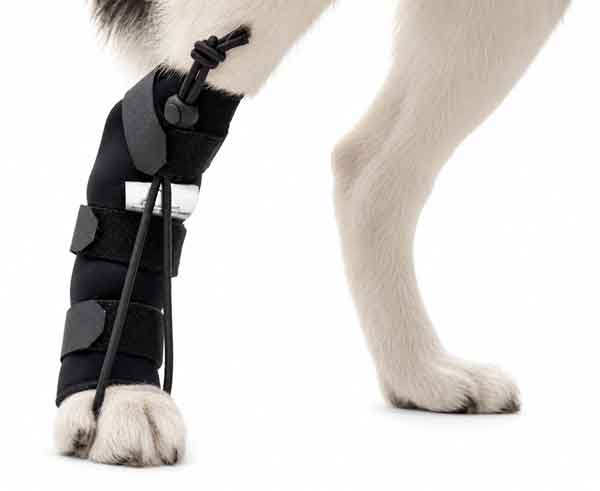 broken-legs-asc-left-600-new broken-legs-asc-left-600-new