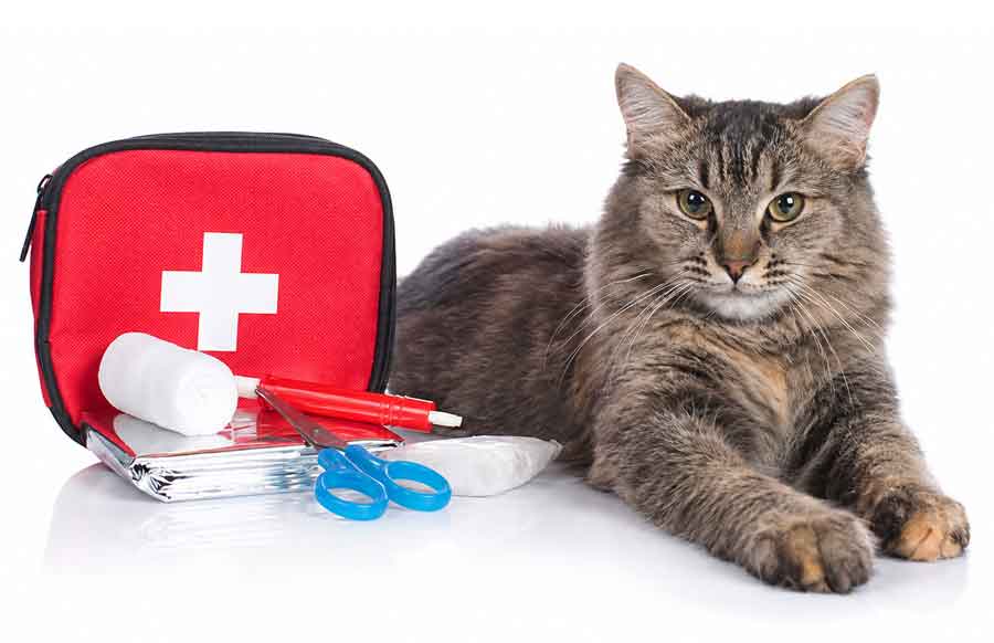 cat-emerg900new cat-emerg900new