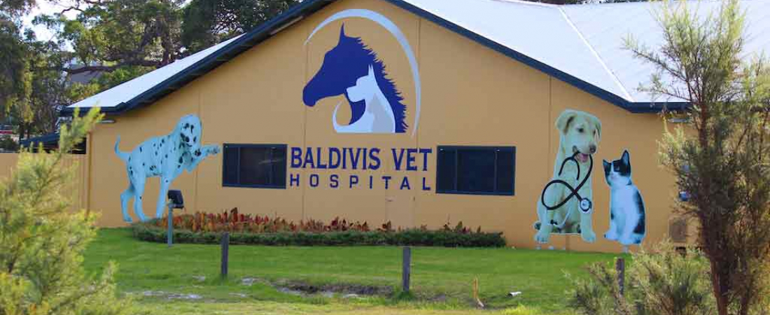 bvh2